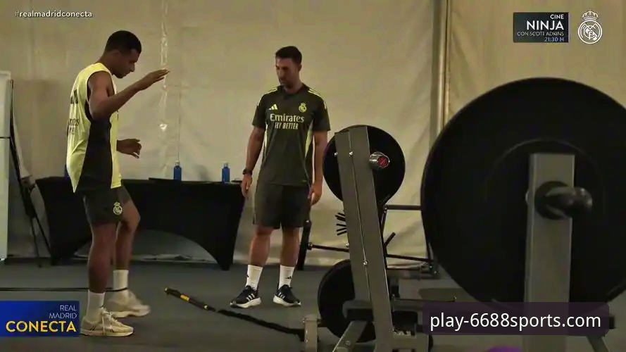 6688体育平台官方App下载与使用详解